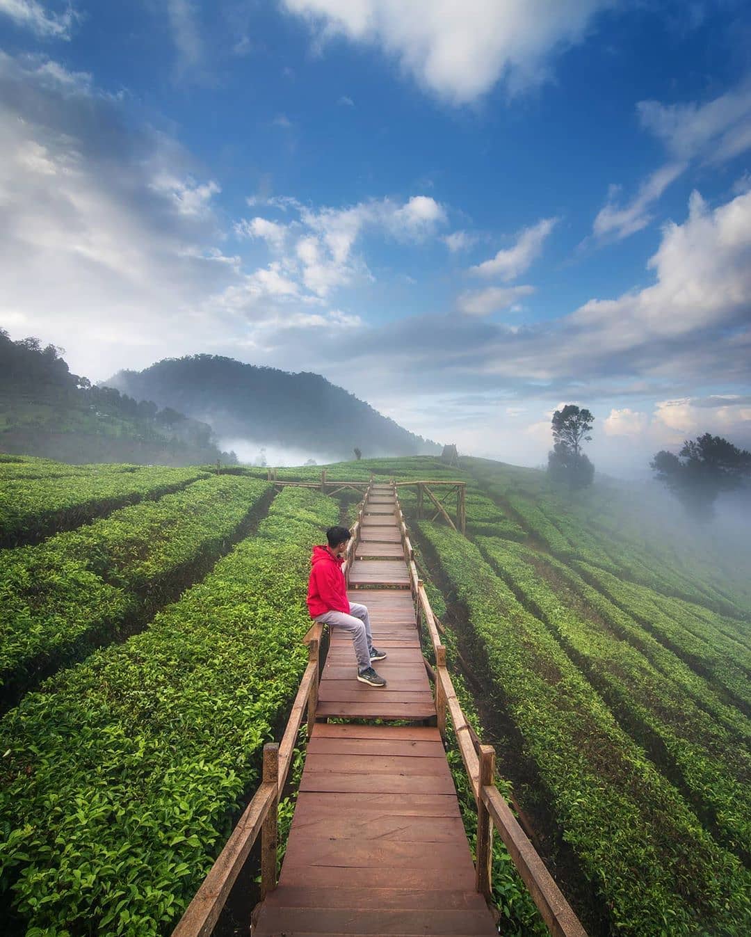 10 Tempat Wisata di Bandung Terpopuler Pekan Ini dan Paling Banyak  Dikunjungi, Lengkap dengan Alamat dan HTM